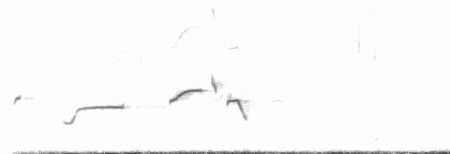 Tüpfelborstenvogel - ML617029922