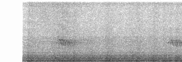 Pabuç Gagalı Tiran - ML617031606