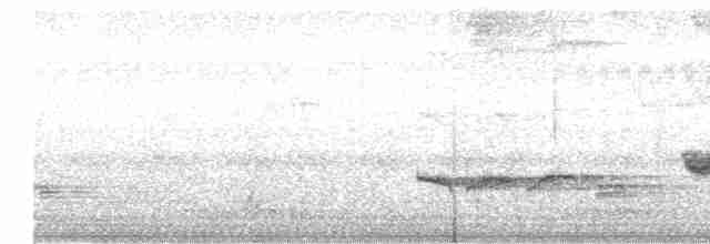 Malabar Gray Hornbill - ML617032696