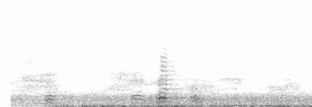Cisne Trompetero - ML617033222