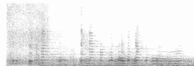 Cisne Trompetero - ML617033248
