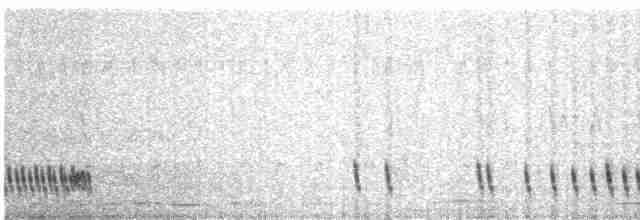 Indiennachtschwalbe - ML617035386