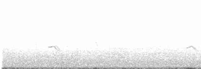 Pluvier petit-gravelot - ML617035526