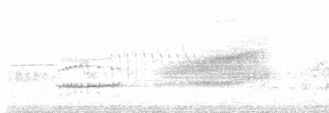 Turuncu Ardıç - ML617036462