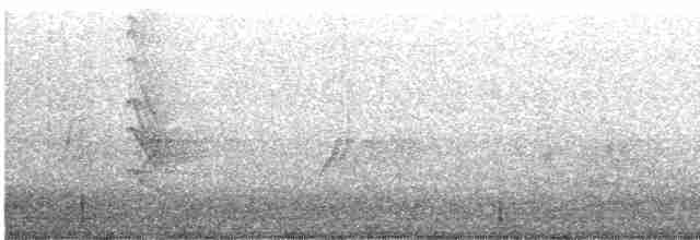 セスジツバメ - ML617037992