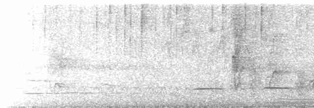 Pheasant Cuckoo - ML617038005