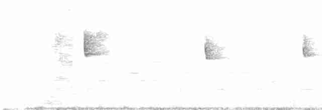 Hooded Warbler - ML617038097