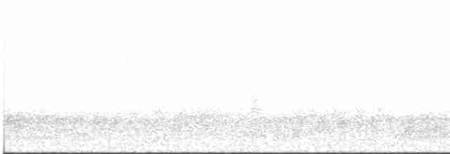 斑胸秧雞 - ML617038153