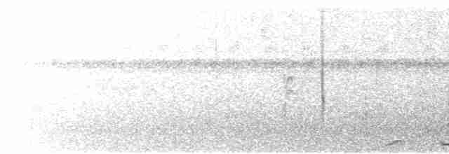 holub šedorůžový - ML617039191