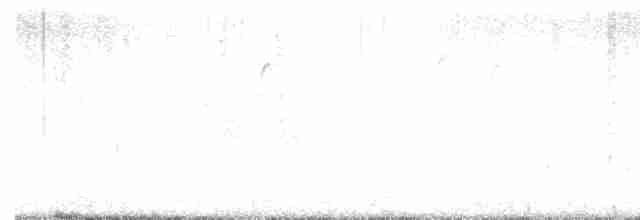 Troglodyte des marais - ML617039525
