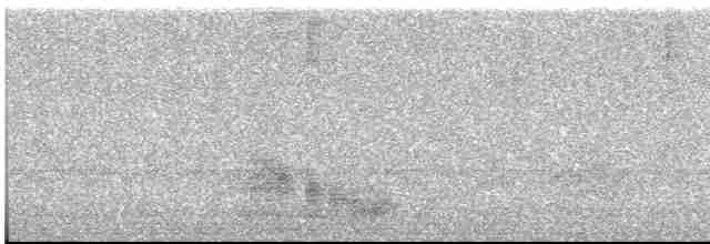 kukačka veverčí [skupina cayana] - ML617040071