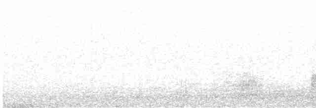 西方秧雞 - ML617040189