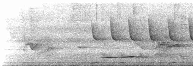 Thicket Tinamou - ML617042014