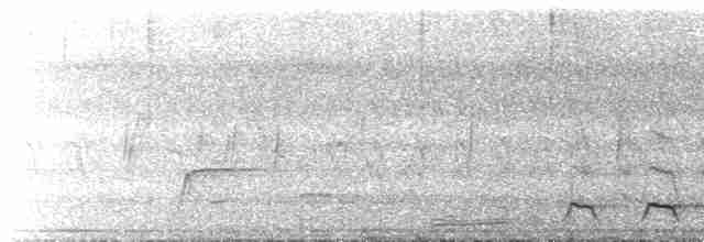 Желтобрюхий трогон - ML617042052
