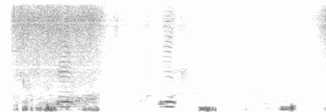 Cisne Trompetero - ML617042556