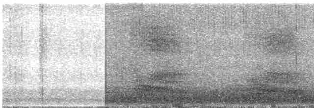 Nebelkrähe - ML617043844