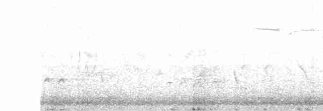 Орел-карлик малий - ML617045571