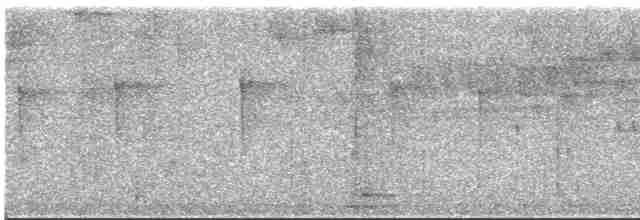Streifenbrust-Ameisendrossel - ML617045614