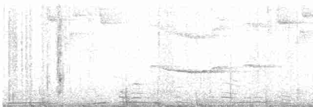 Conirostre bicolore - ML617045741