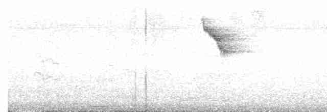 Веерохвостая корольковка - ML617046594