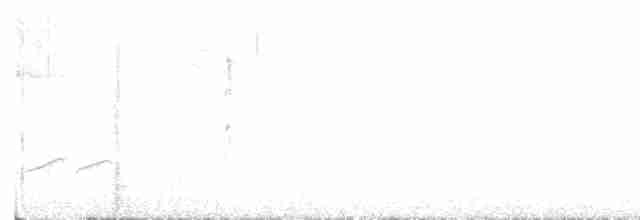 Weißstirnamazone - ML617046636