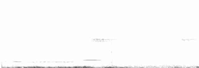 Rufous-and-white Wren - ML617047448