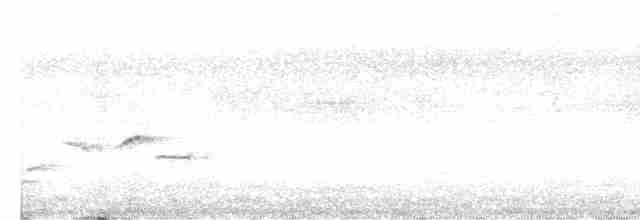 Kurum Başlı Çıtkuşu - ML617047849
