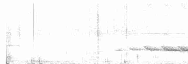 Kestane Göğüslü Çıtkuşu - ML617048215