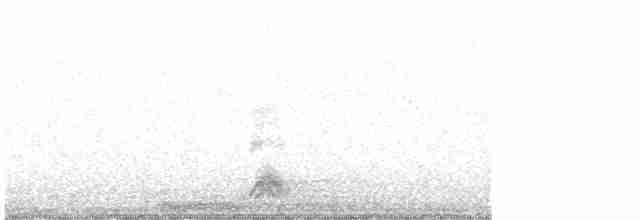 Black-crowned Night Heron - ML617050294