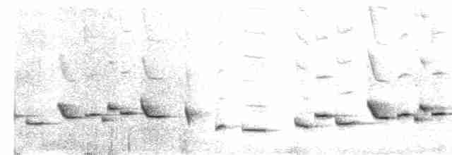 Troglodyte de Negret - ML617051286