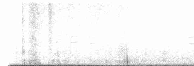 křivka bělokřídlá - ML617051402