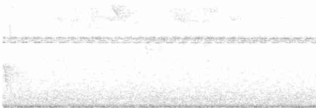 Kestane Sırtlı Karıncakuşu - ML617052619