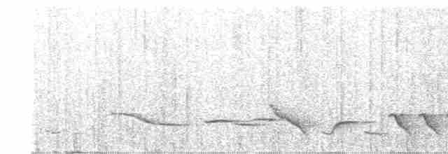 Kara Gerdanlı Çıtkuşu - ML617053353