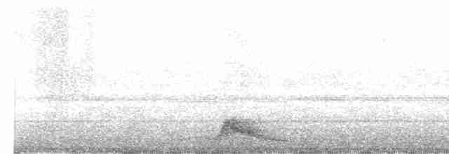 Pauraquenachtschwalbe - ML617054469
