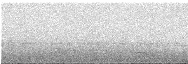 Свіфт плямистолобий - ML617056384