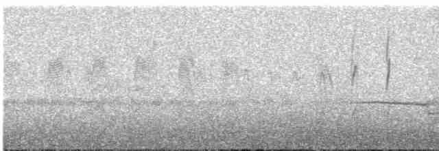 Свіфт плямистолобий - ML617056437