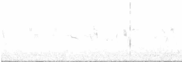 Alouette des champs (japonica/intermedia) - ML617056774