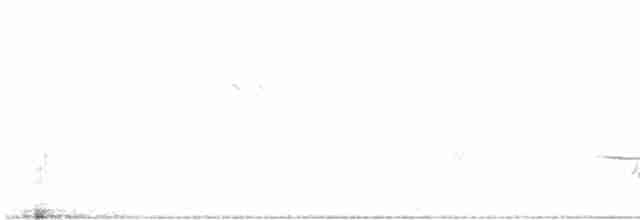 Чечевиця кармінова (підвид californicus) - ML617058525