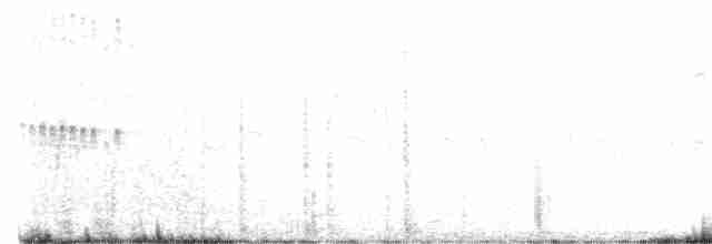 Grauscheitel-Kleintyrann - ML617058763