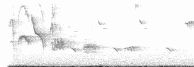 blåtrost (philippensis) - ML617059048