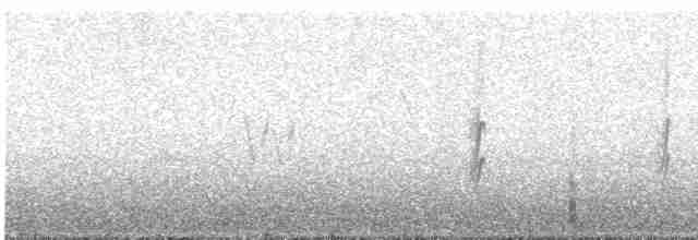 סנונית רפתות - ML617060019