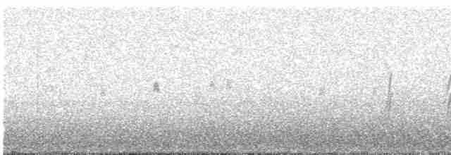 סנונית רפתות - ML617060043
