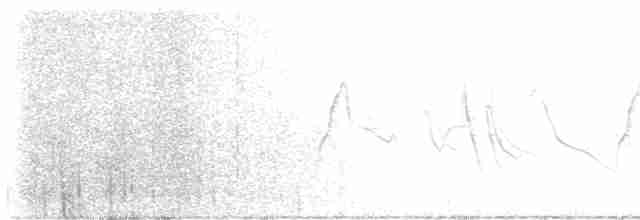 Graubrust-Olivtyrann - ML617060086