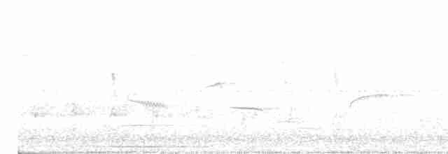Graustirn-Dickichtschlüpfer - ML617060146