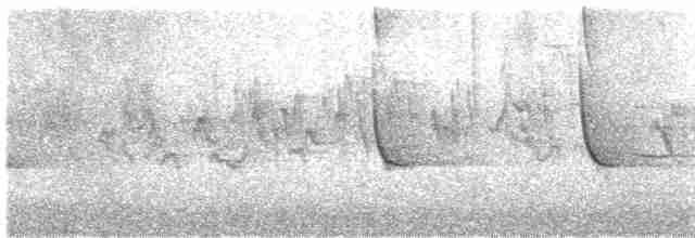 Oriole des vergers - ML617063277