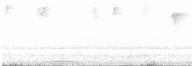 holub šedohlavý (ssp. plumbeiceps/notia) - ML617064084