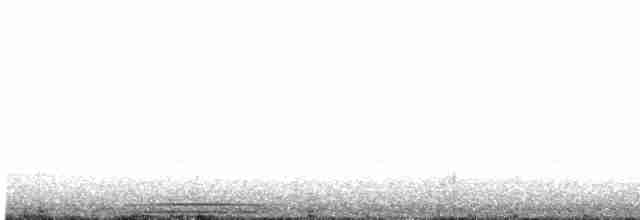 holub šedohlavý (ssp. plumbeiceps/notia) - ML617064085