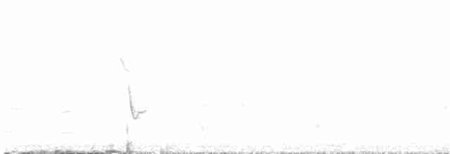 Риджвея зеленоспинна - ML617064112