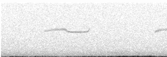 Breitspiegel-Nachtschwalbe - ML617064695