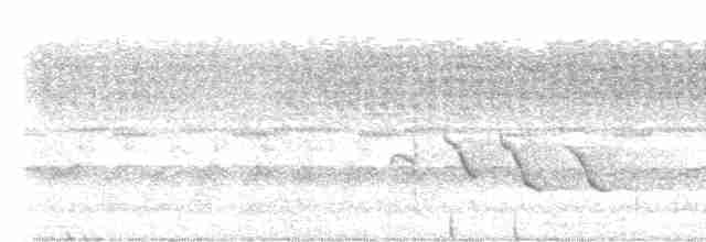 Сверкающий дронго (carbonarius) - ML617066287